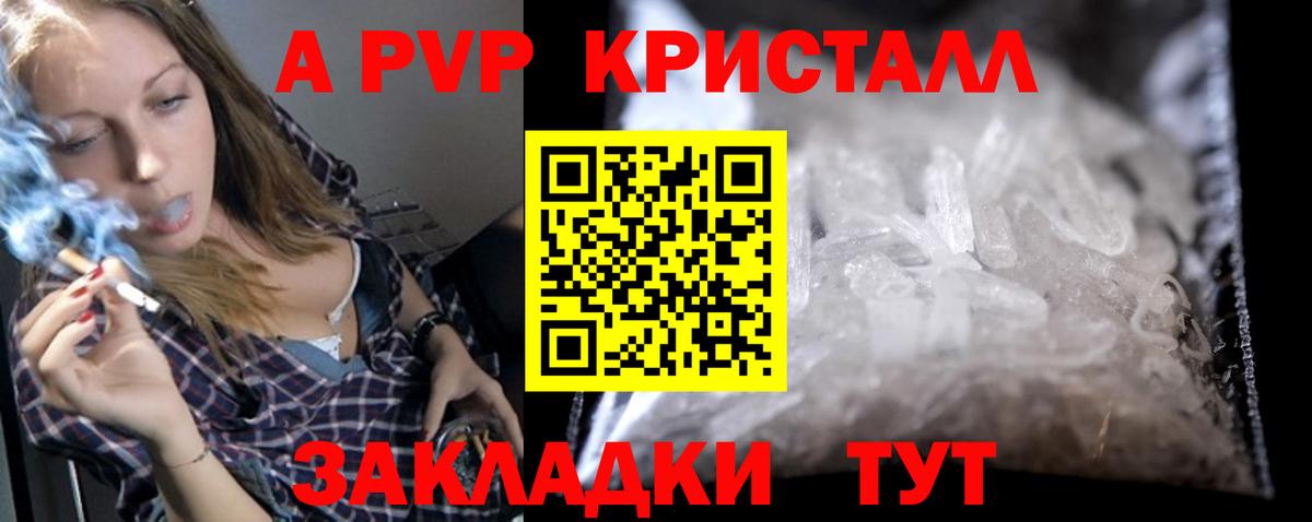 А ПВП СК Новошахтинск
