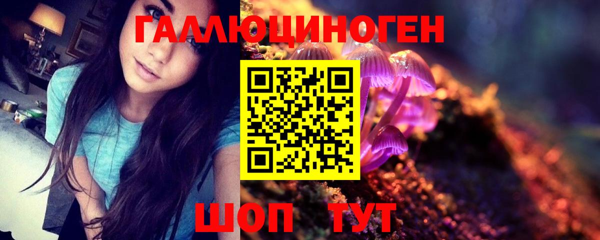 Галлюциногенные грибы мухоморы  Вход с VPN  Галлюциногенные грибы GOLDEN TEACHER  Новошахтинск 