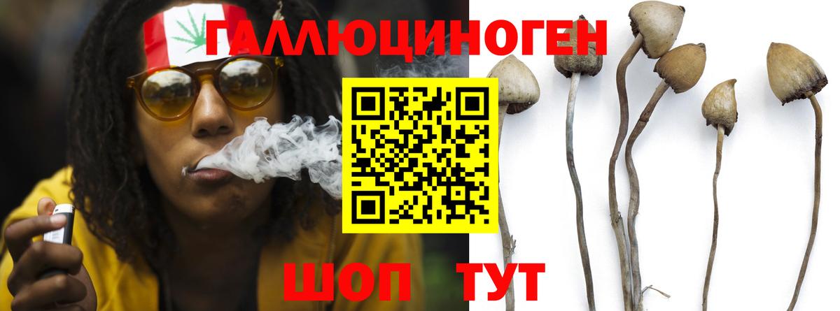 Галлюциногенные грибы мухоморы Новошахтинск